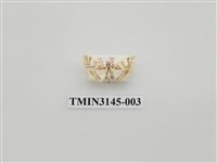 藏品(螟蛾292)的圖片